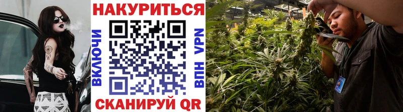 Бошки Шишки Джанкой