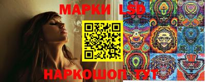 герыч Гатчина