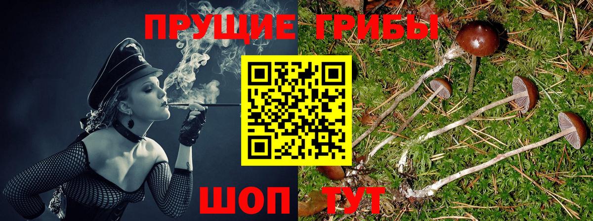 Джанкой  Псилоцибиновые грибы мухоморы  Вход с VPN 